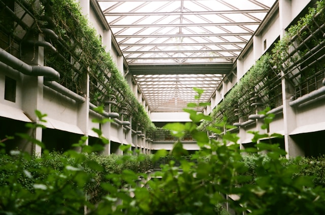 Smart Farming Innovation